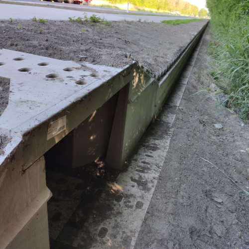 Paddentunnels Leemringweg 5.jpg