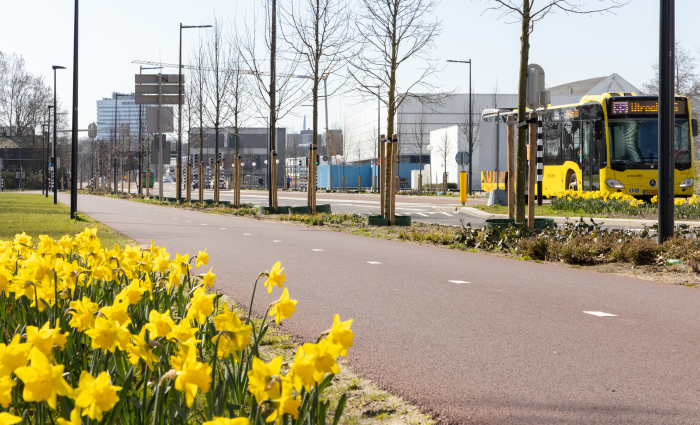 20210329 HOV Dichterswijk 003-020.jpg