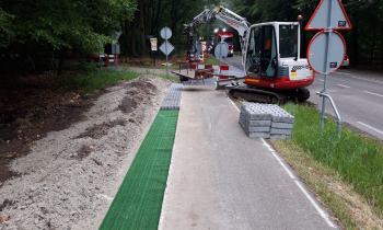 4. Zwijnverdwijnblokken N304.JPG