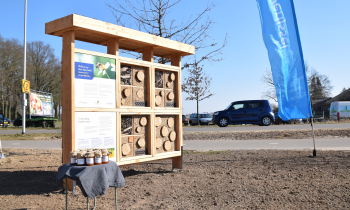 Bijenhotel carpoolplaats N34.JPG