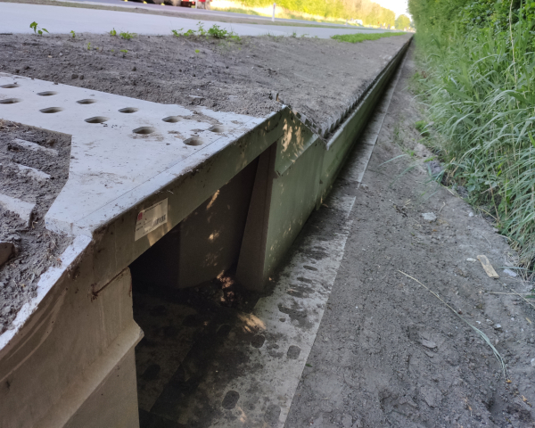 Paddentunnels Leemringweg 5.jpg